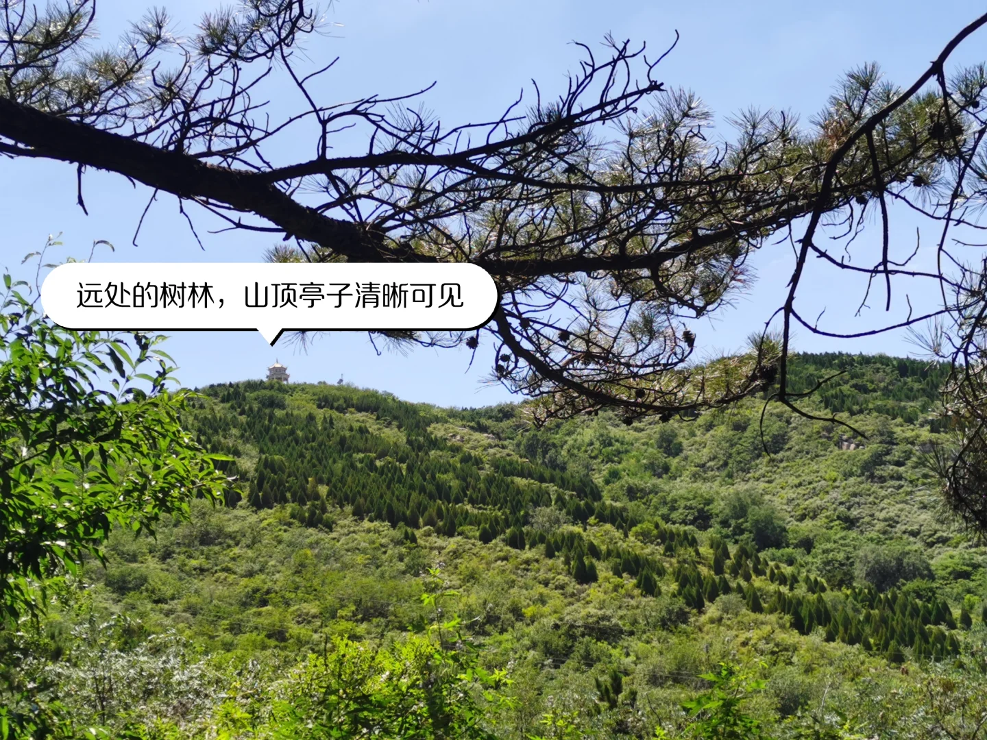 鹿泉封龙山～周末续命好去处