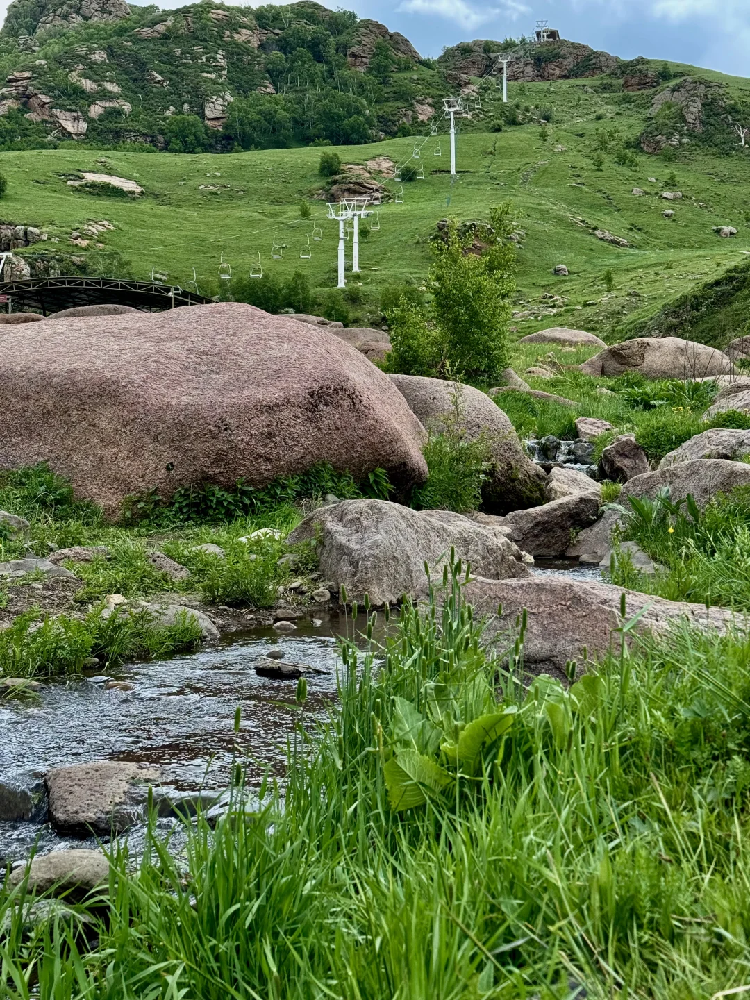 大环境不好，但这里环境好啊🌱