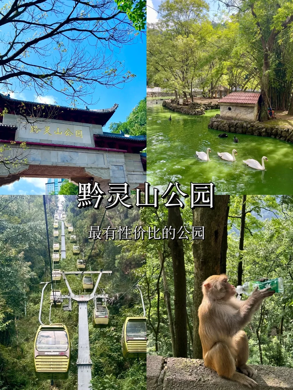 贵州必去的十大景点❗你去过几个？