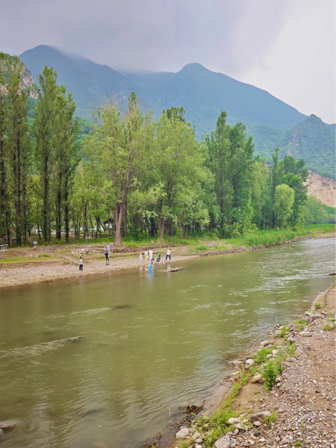 孕妈妈码住❗️绝佳放松静谧避暑胜地