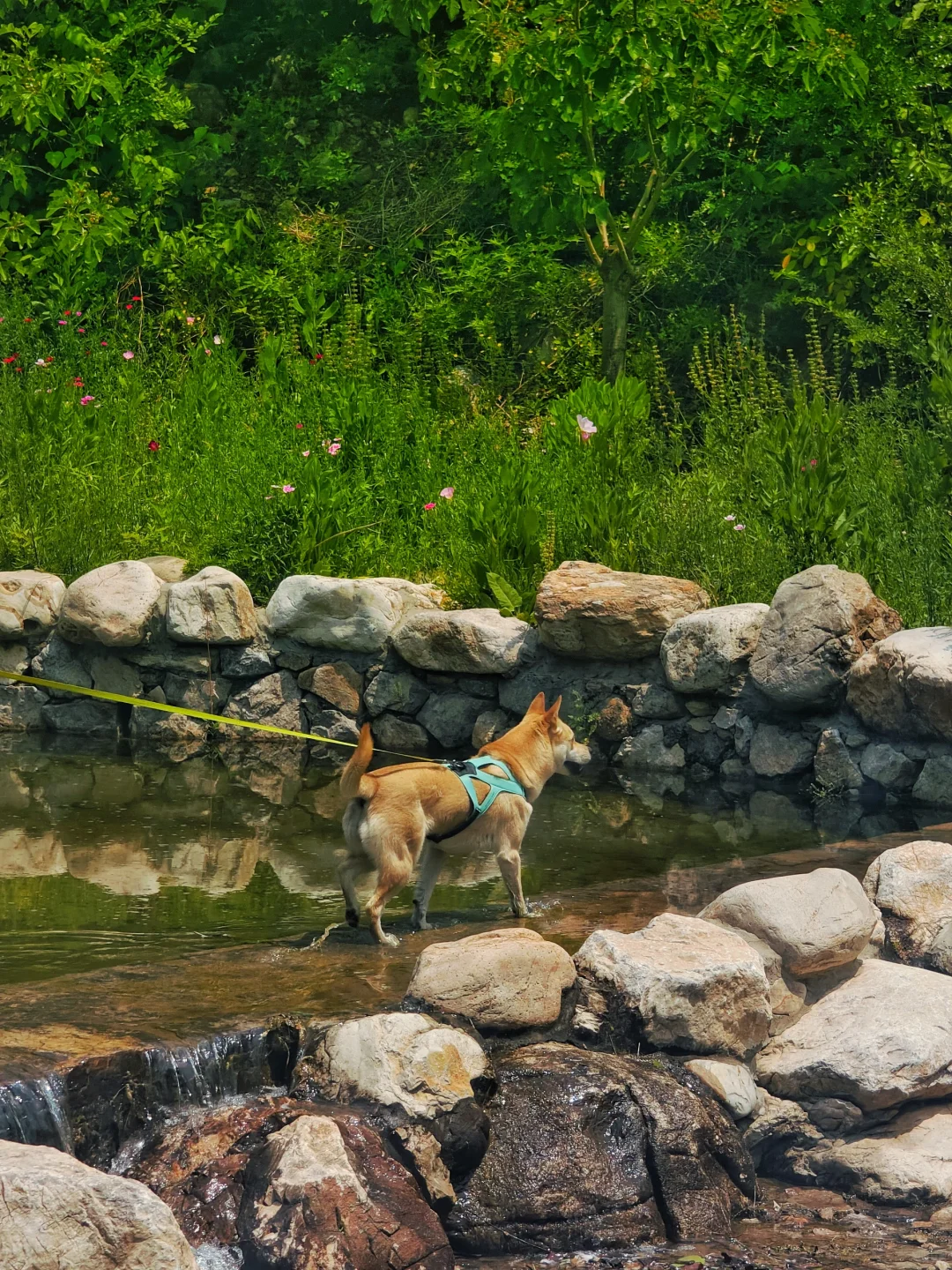 开车一个半小时‖顺义月明涧沟