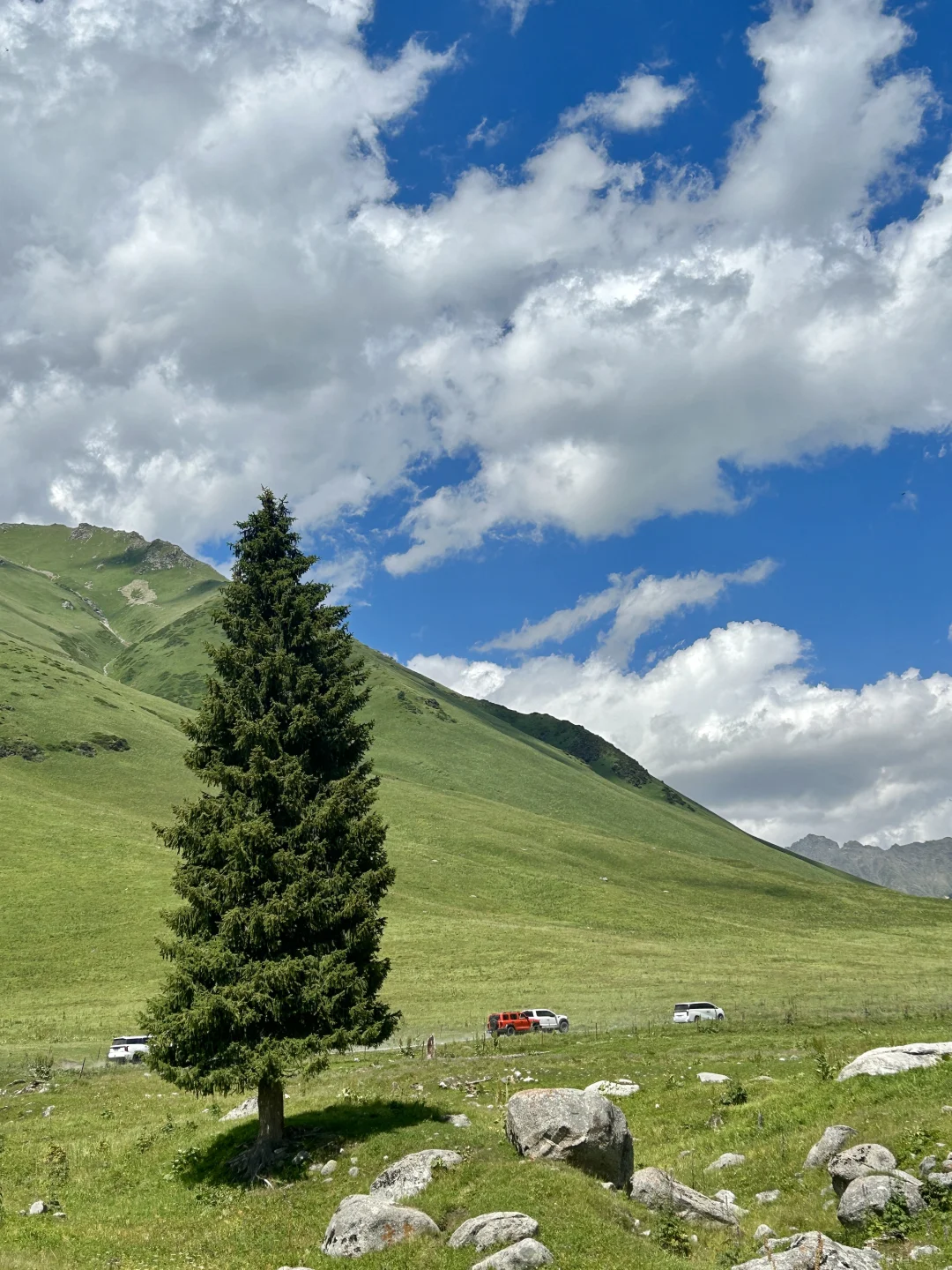 新疆人少景绝的孟克特古道💚