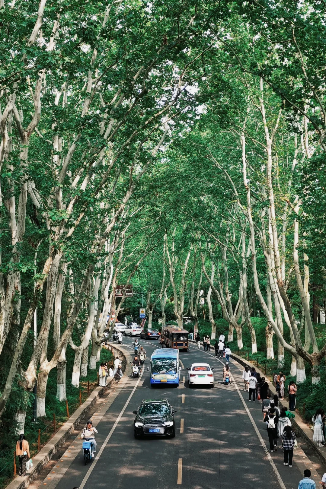 为了这14张图，我去了趟南京……