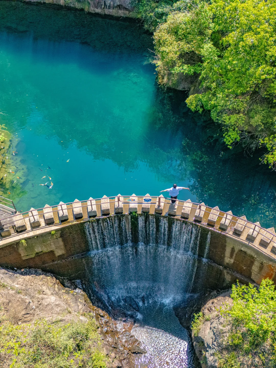 Live图意义❗️〈国家地理 〉夸的桐庐，包出片的