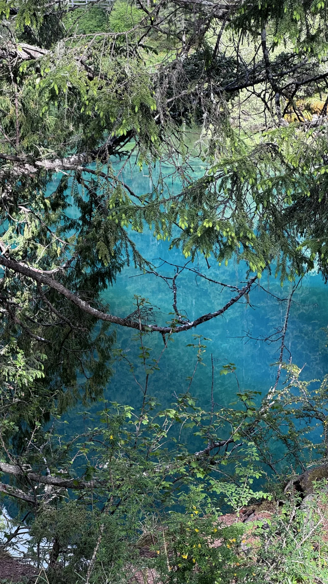 别去九寨了 松潘很够！