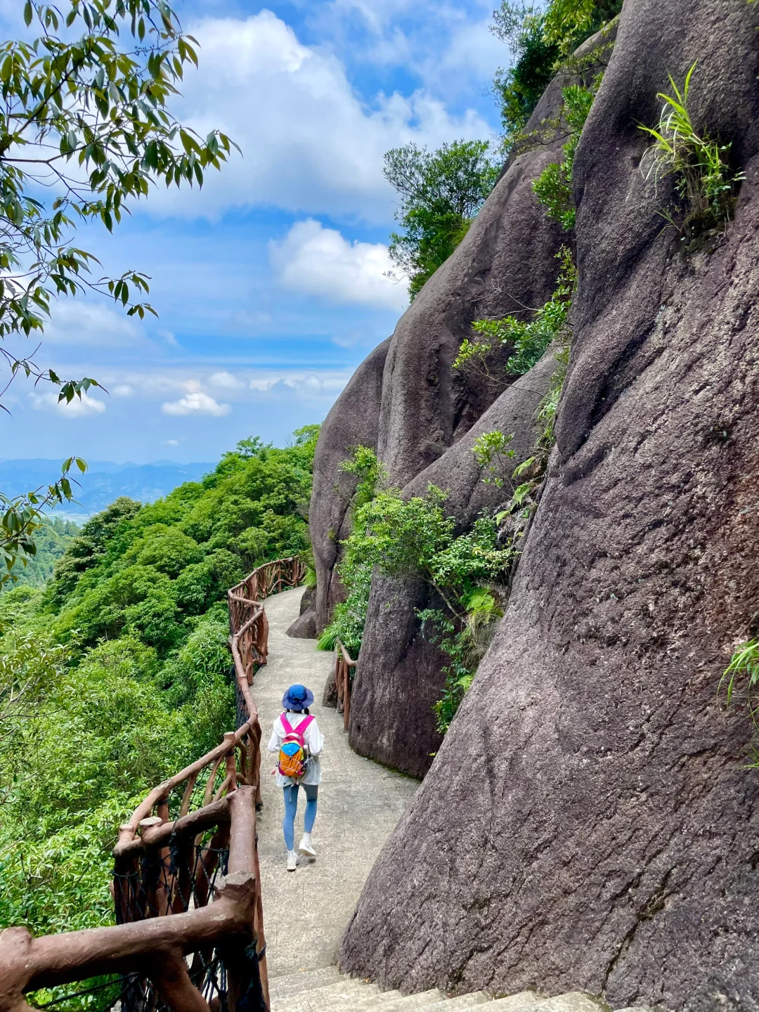 这山又免费了！！不爬对不起自己！