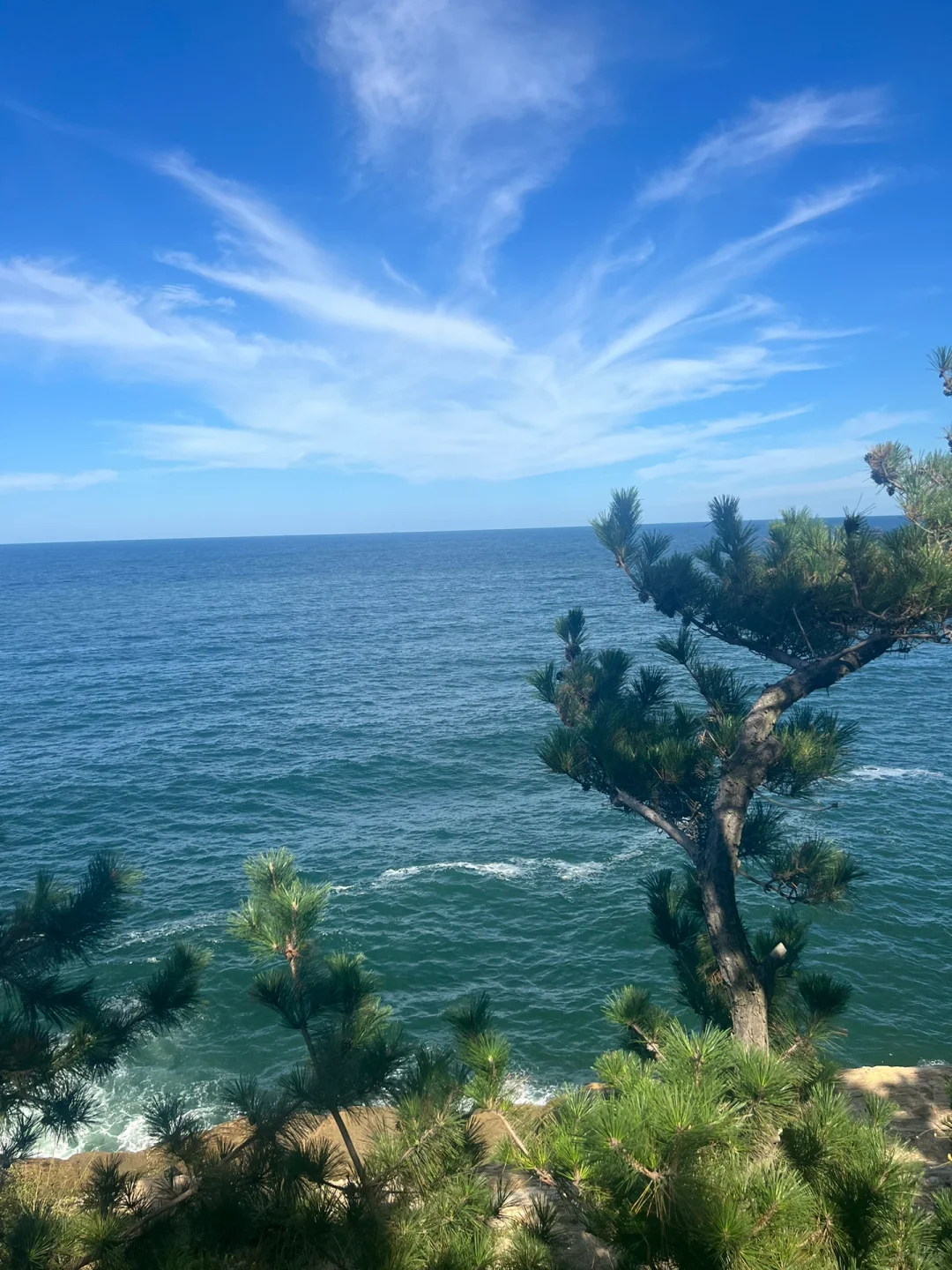 90%热门景点去过都后悔🤣红榜只剩这4个地方