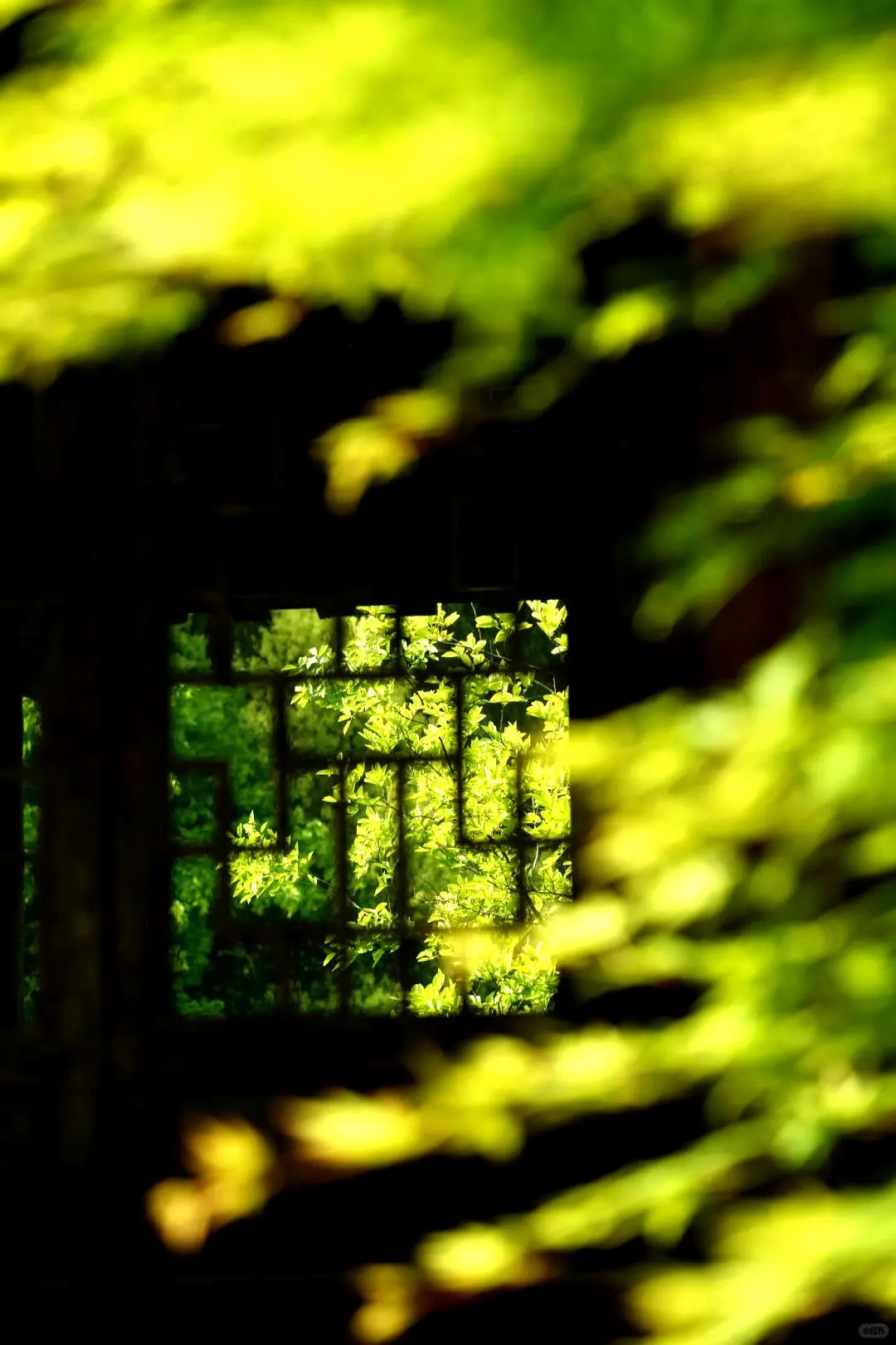 高铁直达！这片被严重低估的贵州仙境😭