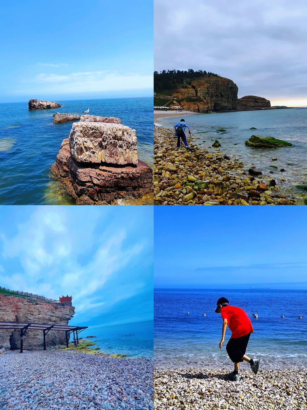 🌊长岛避坑&种草攻略