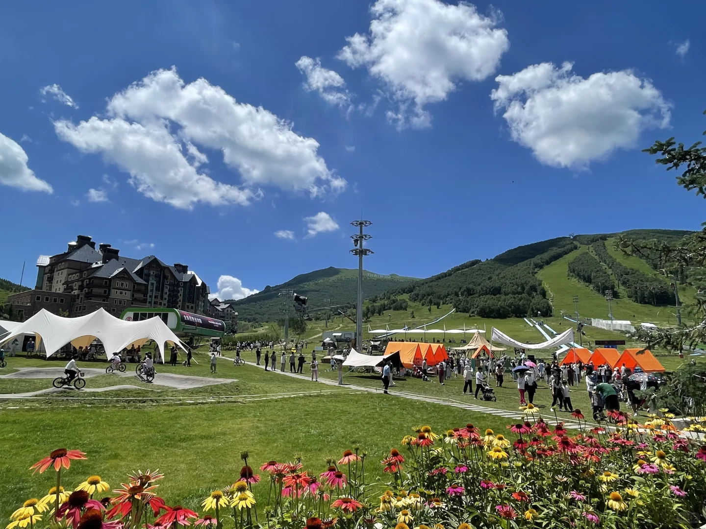 北京人有自己的阿勒泰⛰️