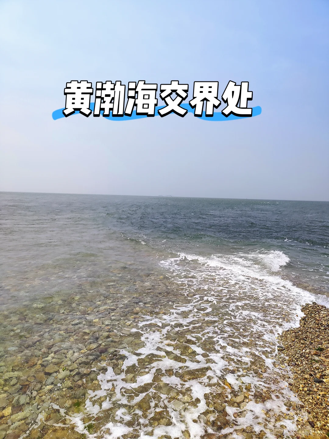 🌊长岛避坑&种草攻略