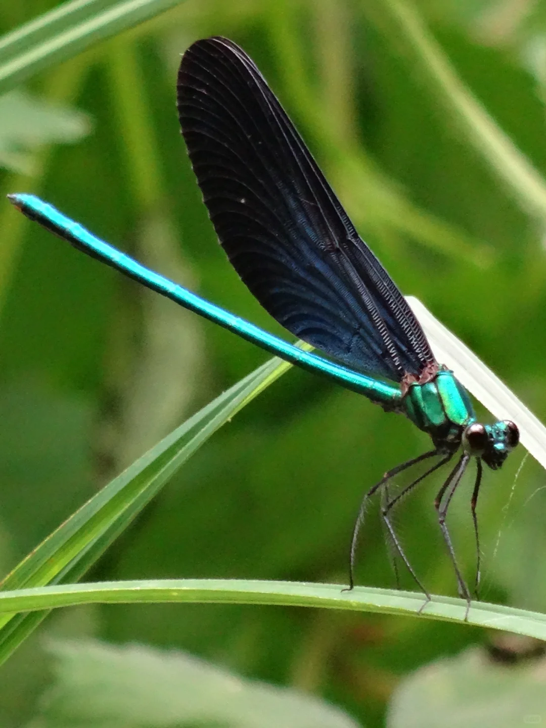 石家庄有山有水又人少的胜境～猪圈沟