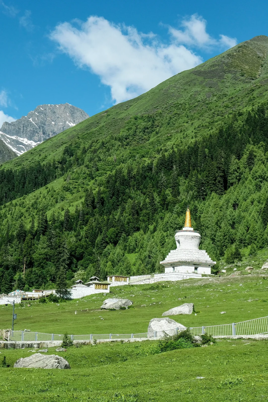 总要去趟四姑娘山，看看封神级别的夏天吧…🍃