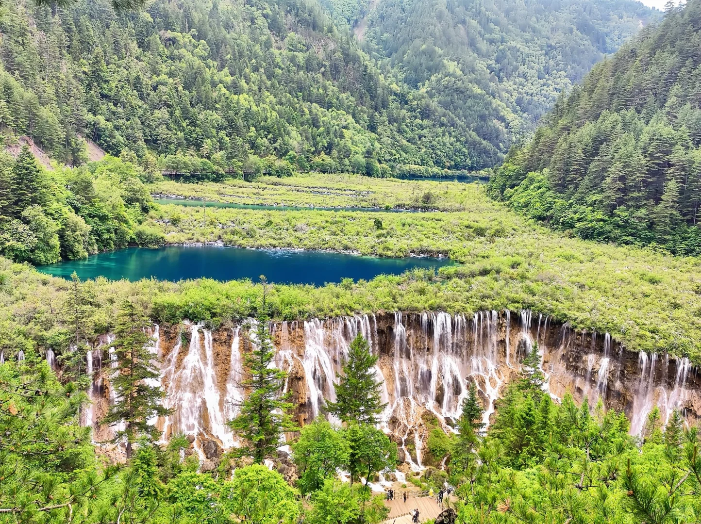 九寨沟唯一的真神🌼🦆🍃