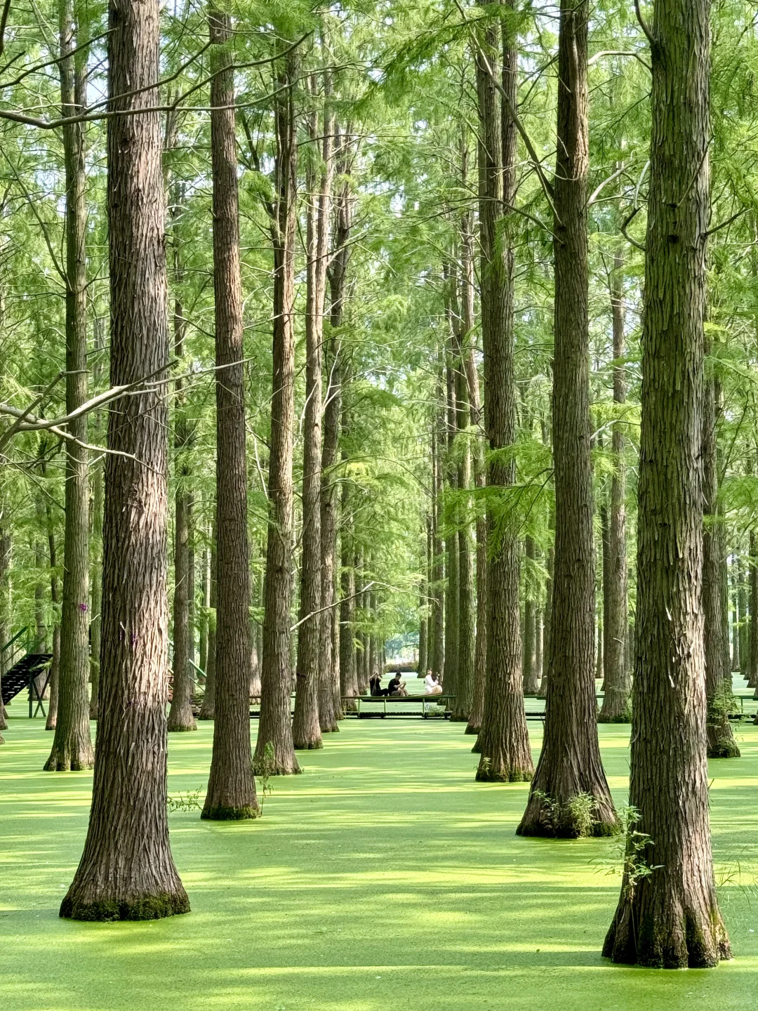 离大谱！！开车1小时到了村里竟然
