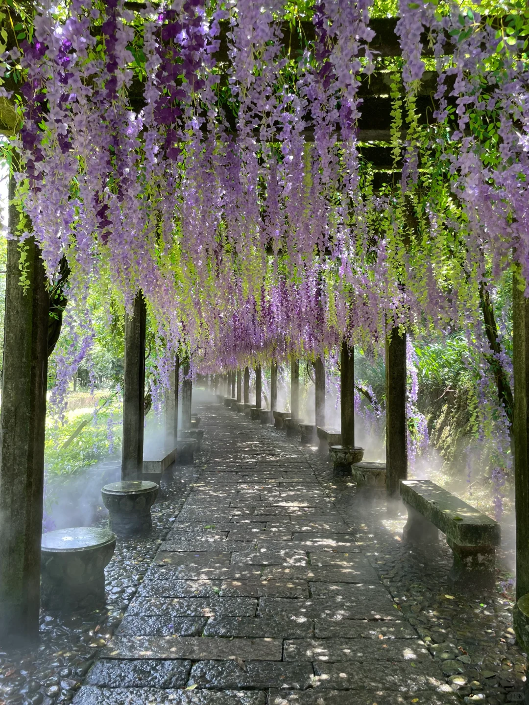 这山又免费了！！不爬对不起自己！