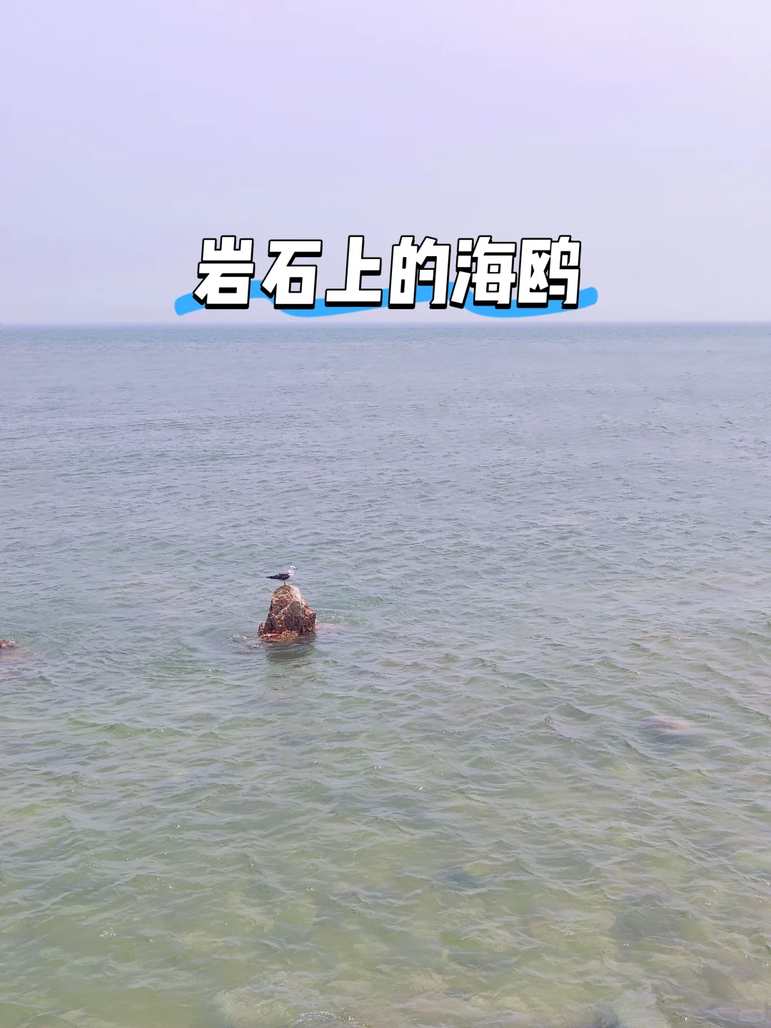 🌊长岛避坑&种草攻略