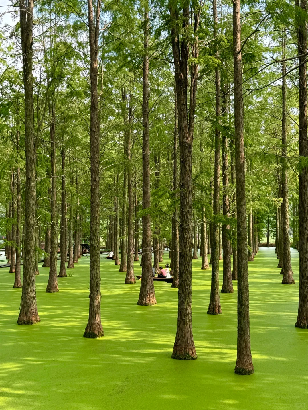 离大谱！！开车1小时到了村里竟然