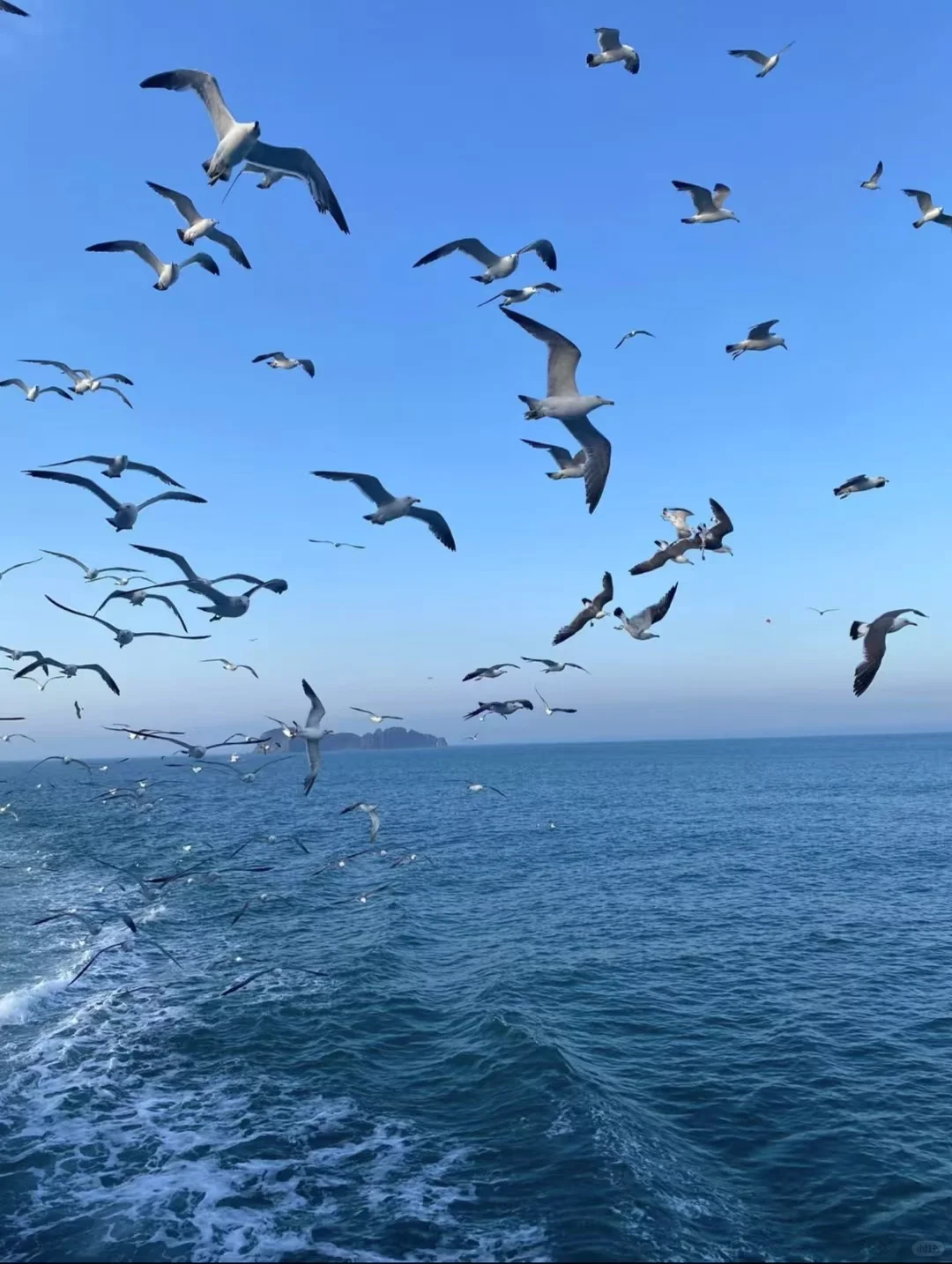 威海旅游 | 纯干货！景点避坑+美食暴走攻略