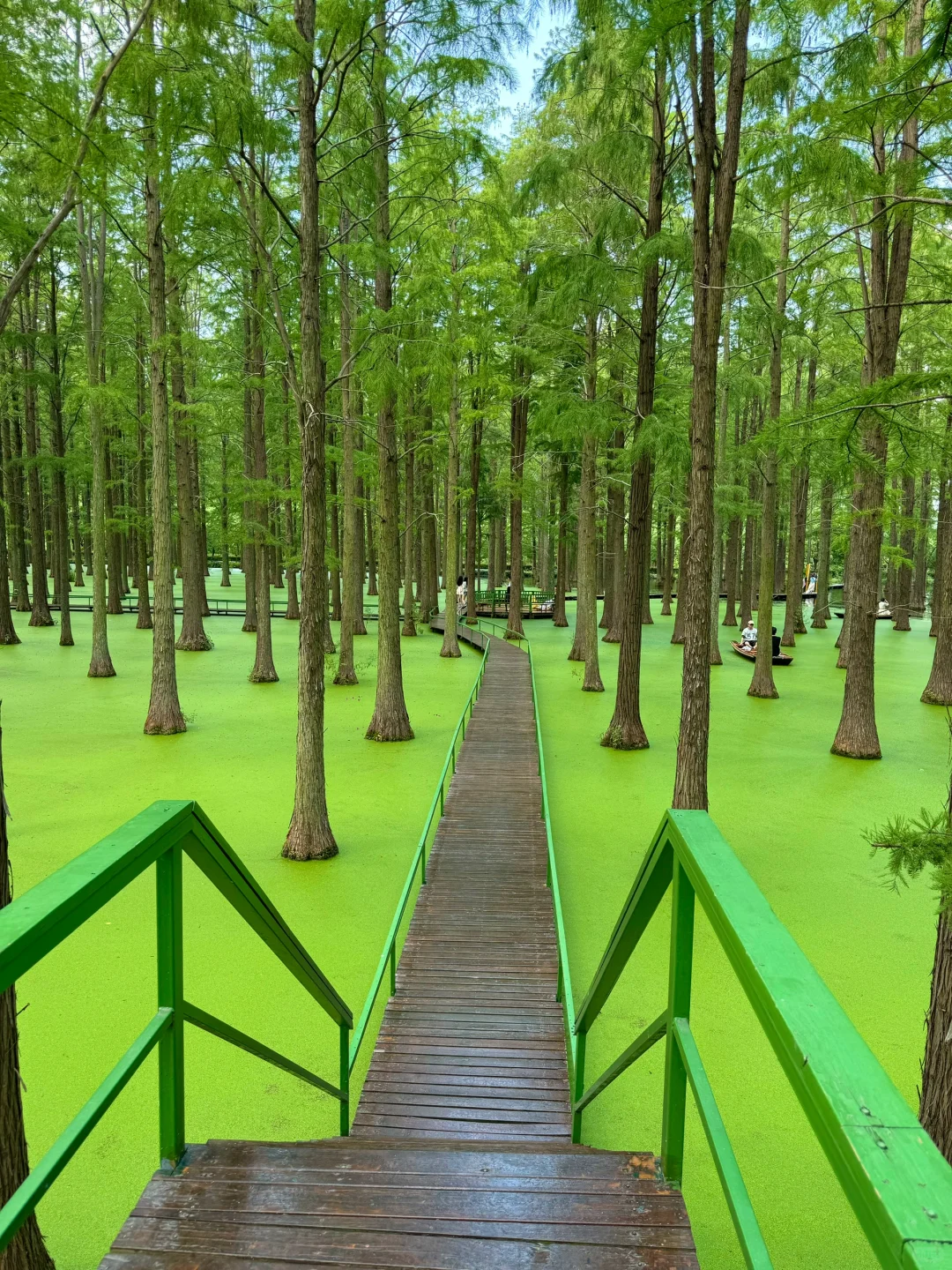 离大谱！！开车1小时到了村里竟然