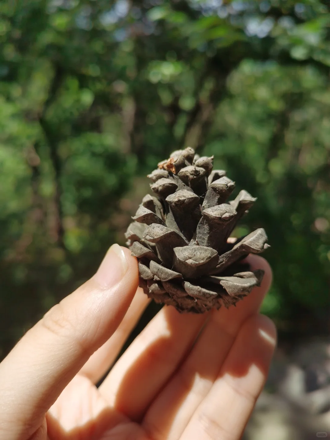 鹿泉封龙山～周末续命好去处