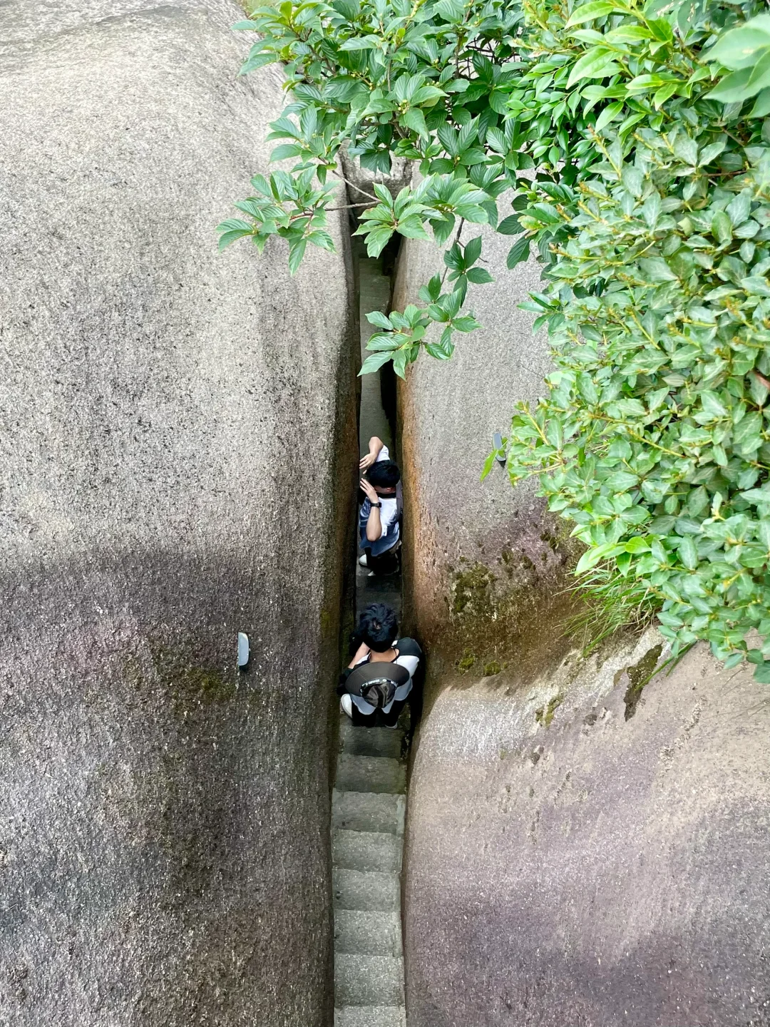 这山又免费了！！不爬对不起自己！