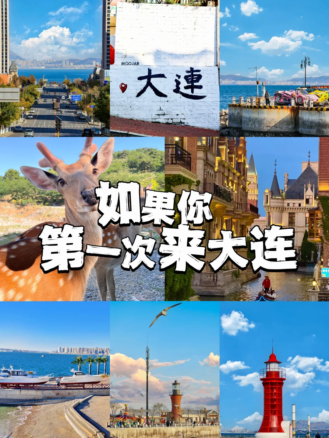 为你种草！如果你来大连一定要看！