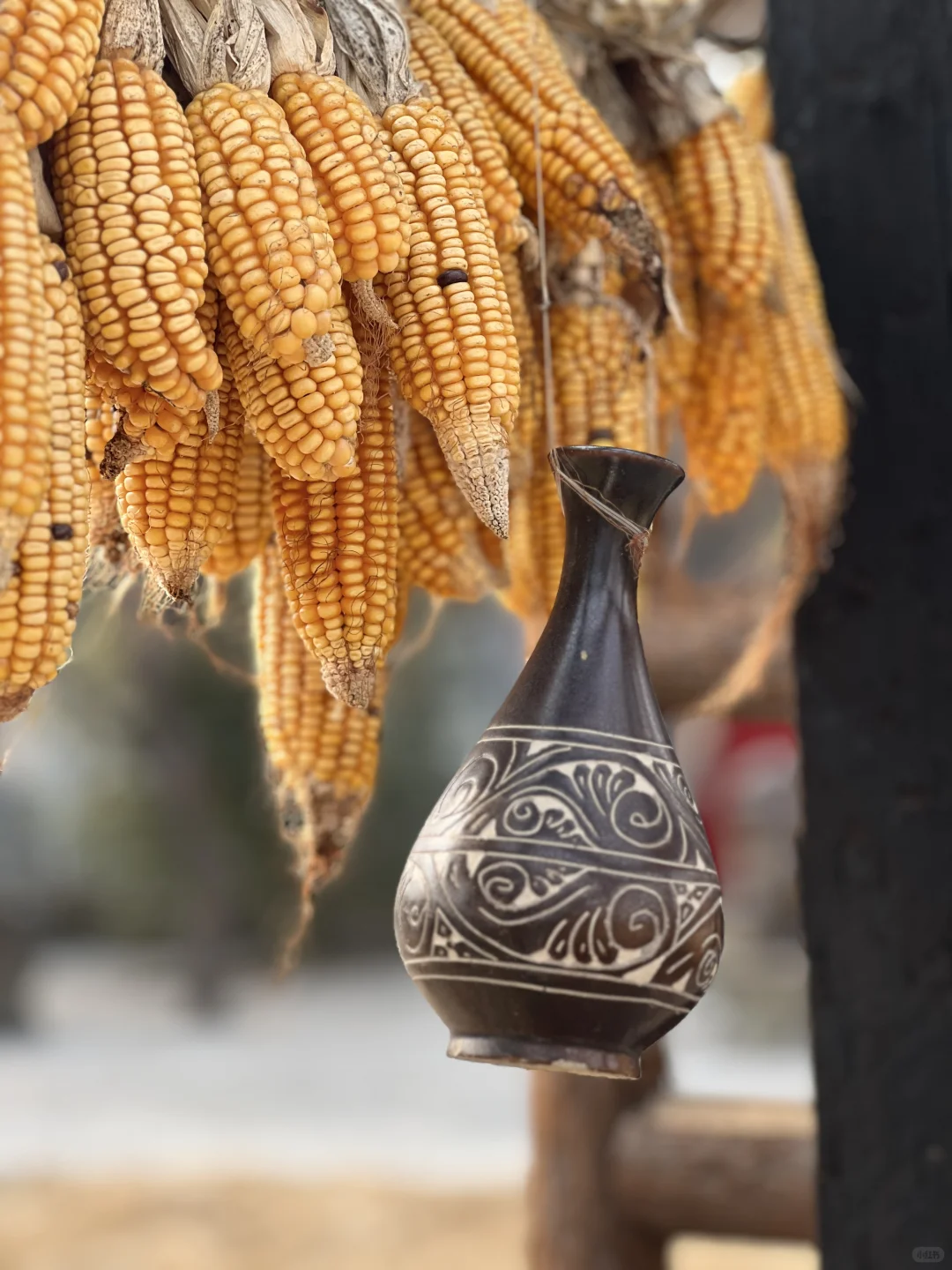 🐕带着毛孩子自驾奔赴邯郸 | Day3