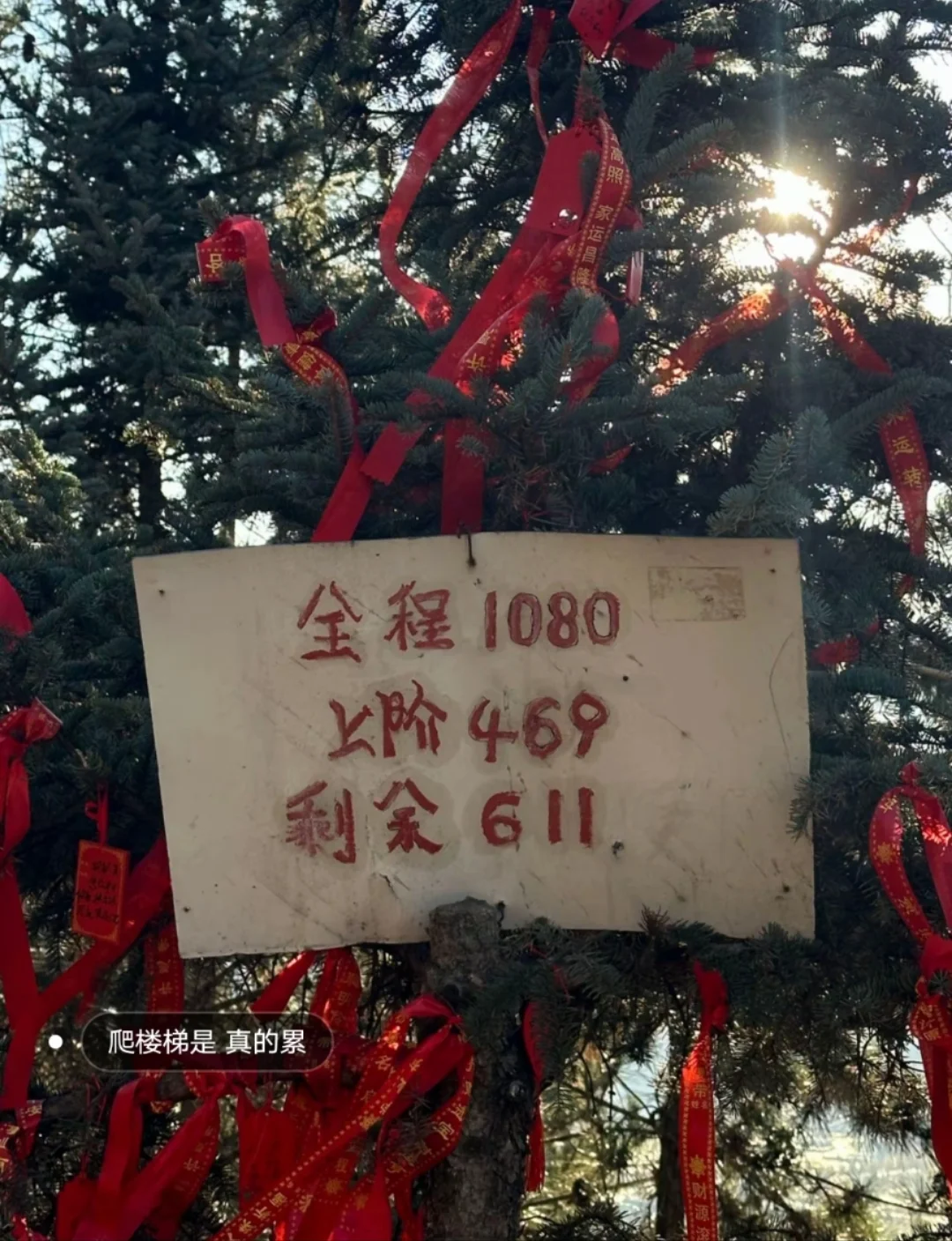 邯郸到五台山直通车！五台山二日游