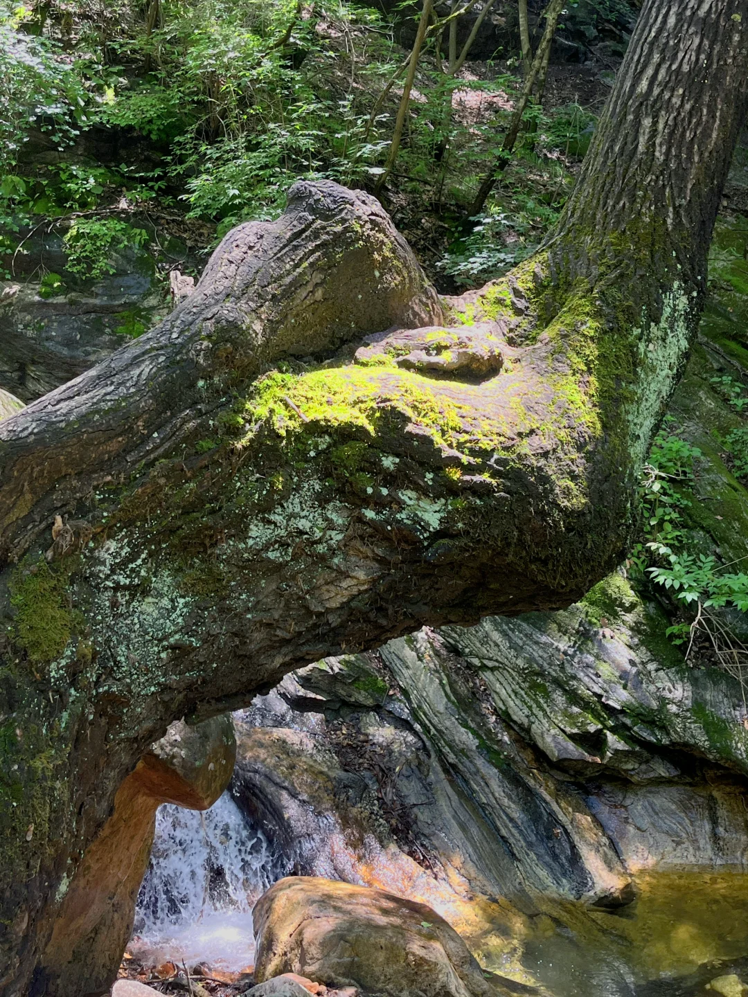 属于河北宝宝自己的瑞士⛰️出片避暑好去处