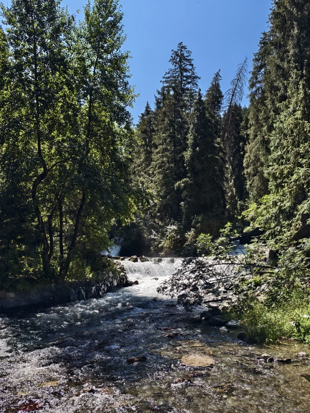 天山天池 | 开启新疆旅途的惊喜 3h游玩推荐