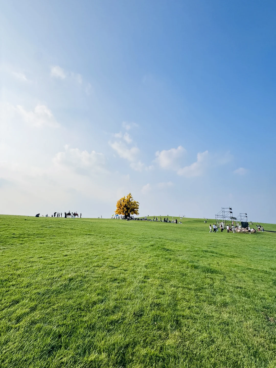 这个夏天总要来一趟太行五指山吧🌿（攻略版）