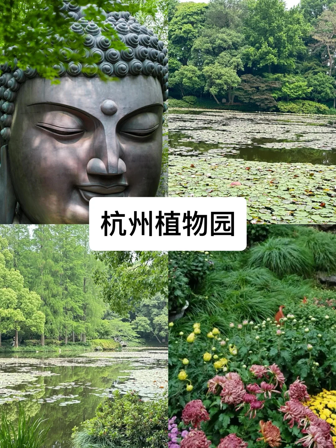 来杭州度夏必去的8️⃣大景点（不踩雷小众版）！