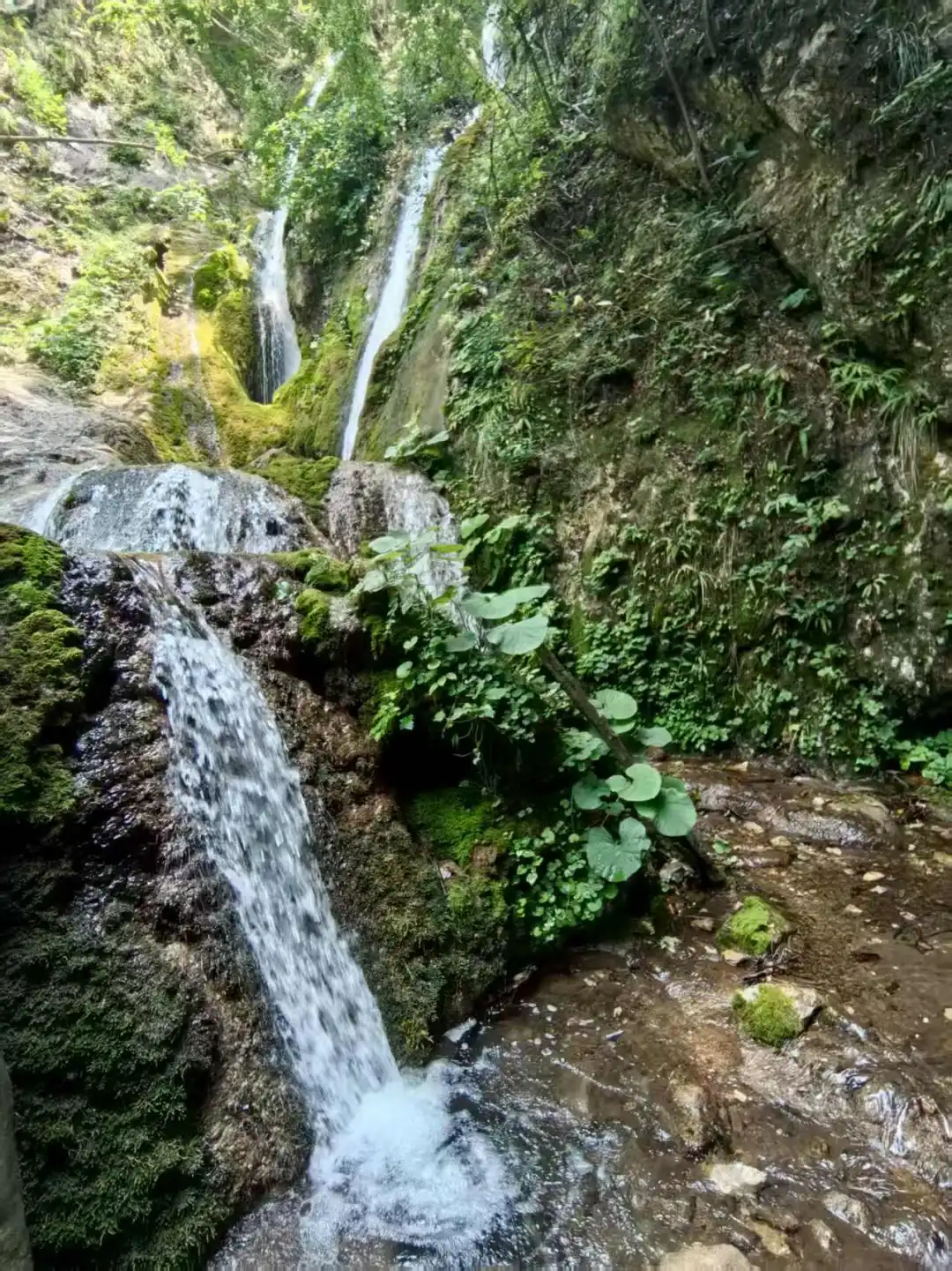 栾川重渡沟景区(一)