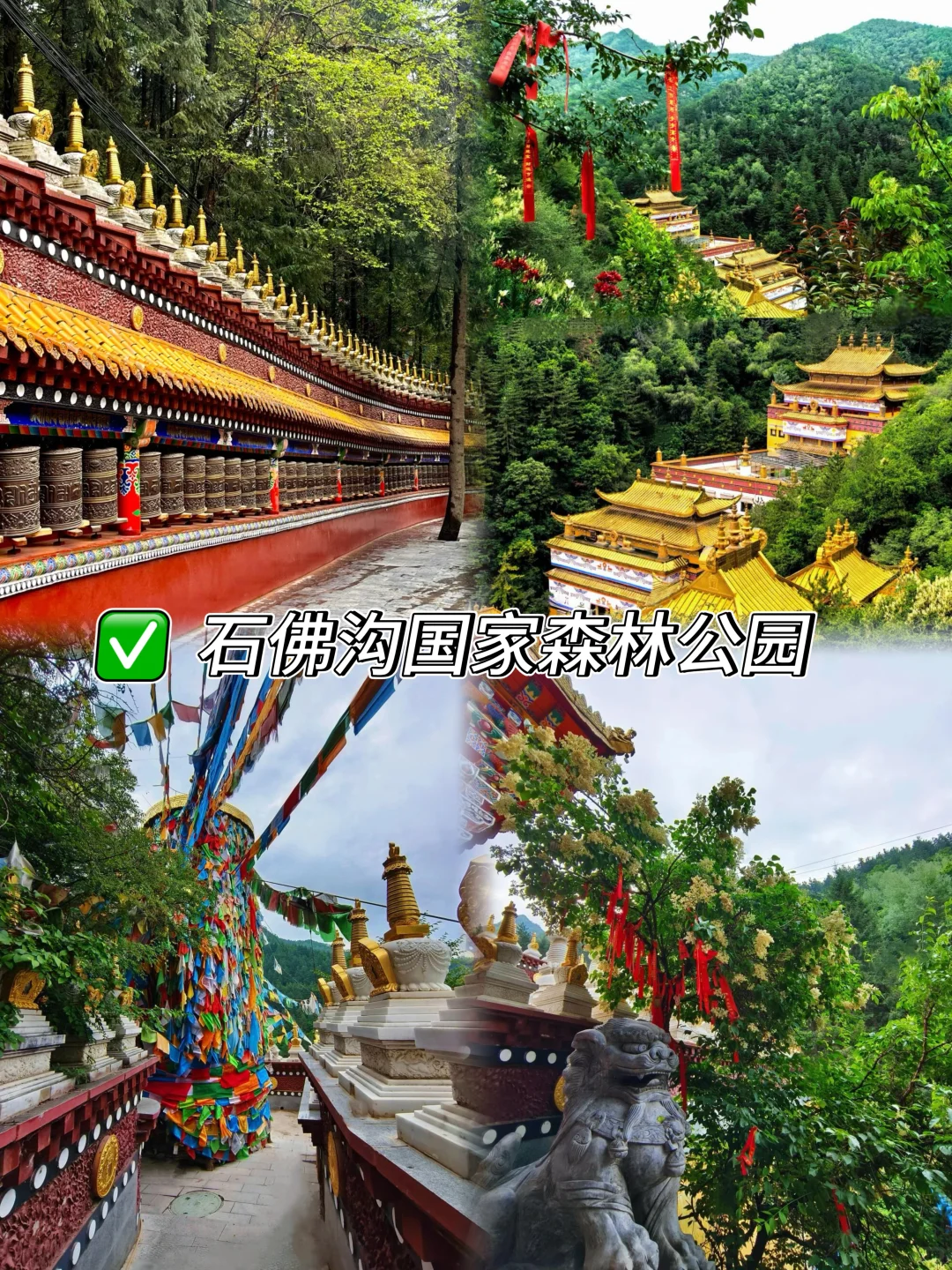 35°C⬇️18°C！兰州四大空调山：1h森林 20min夜