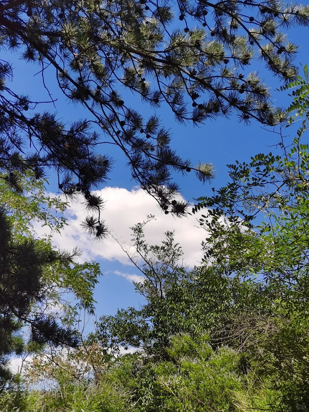 鹿泉封龙山～周末续命好去处