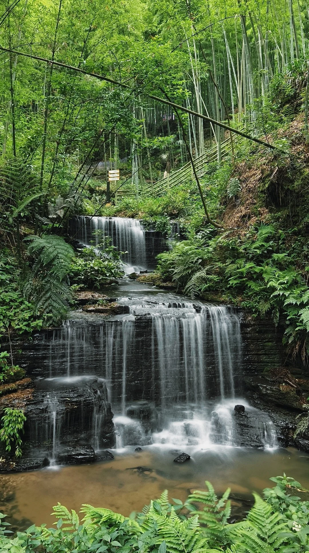45元踏入【地心之旅】——僰王山
