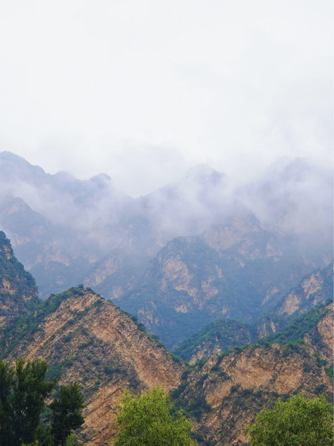 孕妈妈码住❗️绝佳放松静谧避暑胜地