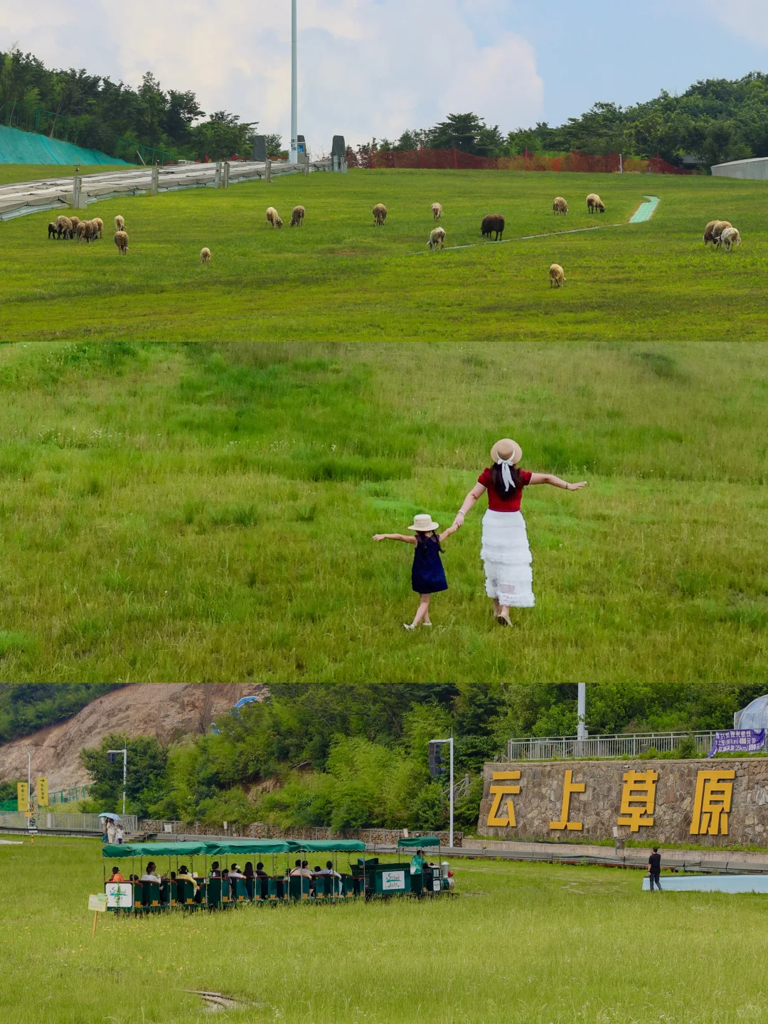杭州27℃遛娃天花板！云上草原亲子游大实话！