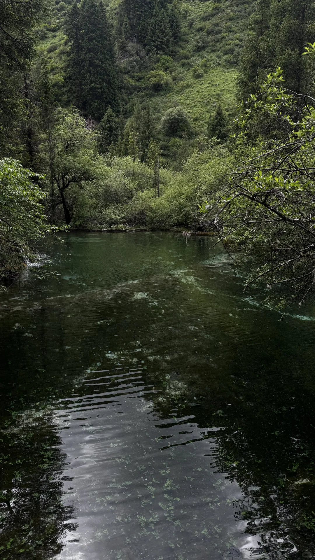 别去九寨了 松潘很够！