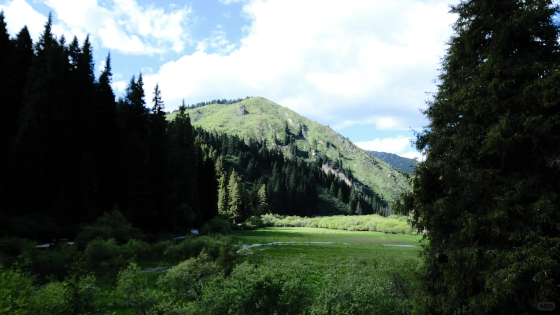 别去九寨了 松潘很够！