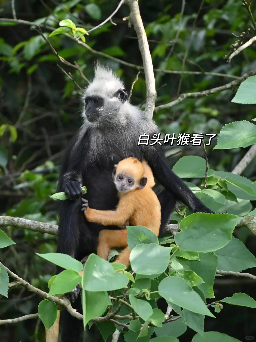 老公选的崇左酒店,后劲太大,太震撼了‼️