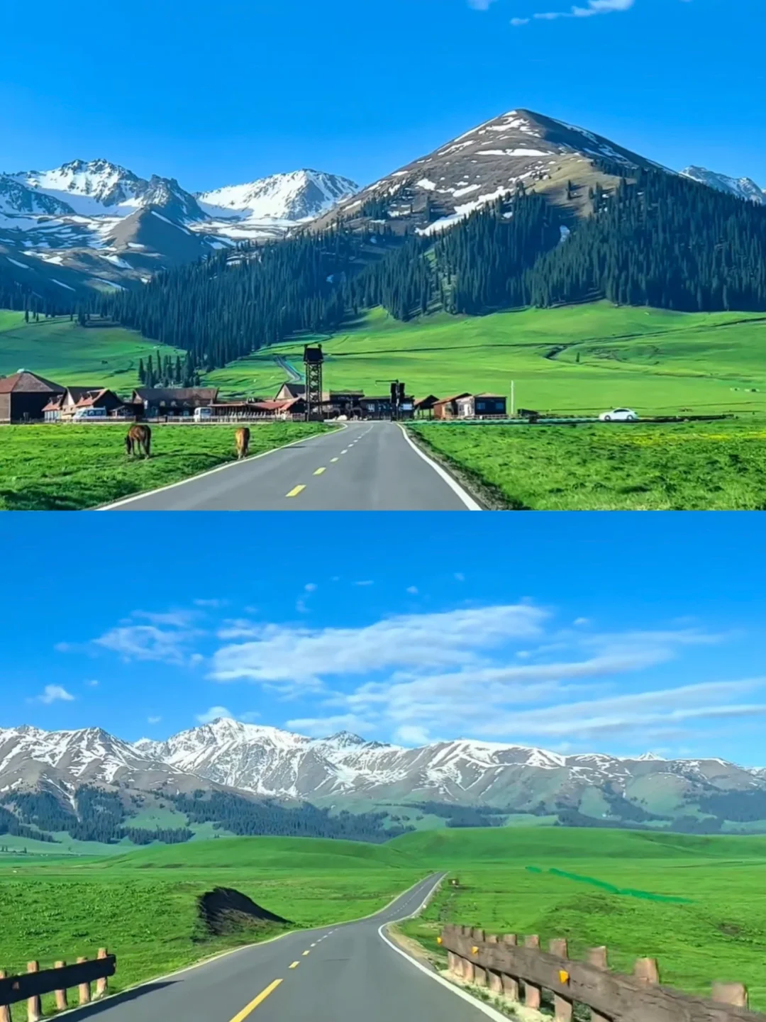 8月旅行地合集✨ 抓住夏天尾巴去撒野