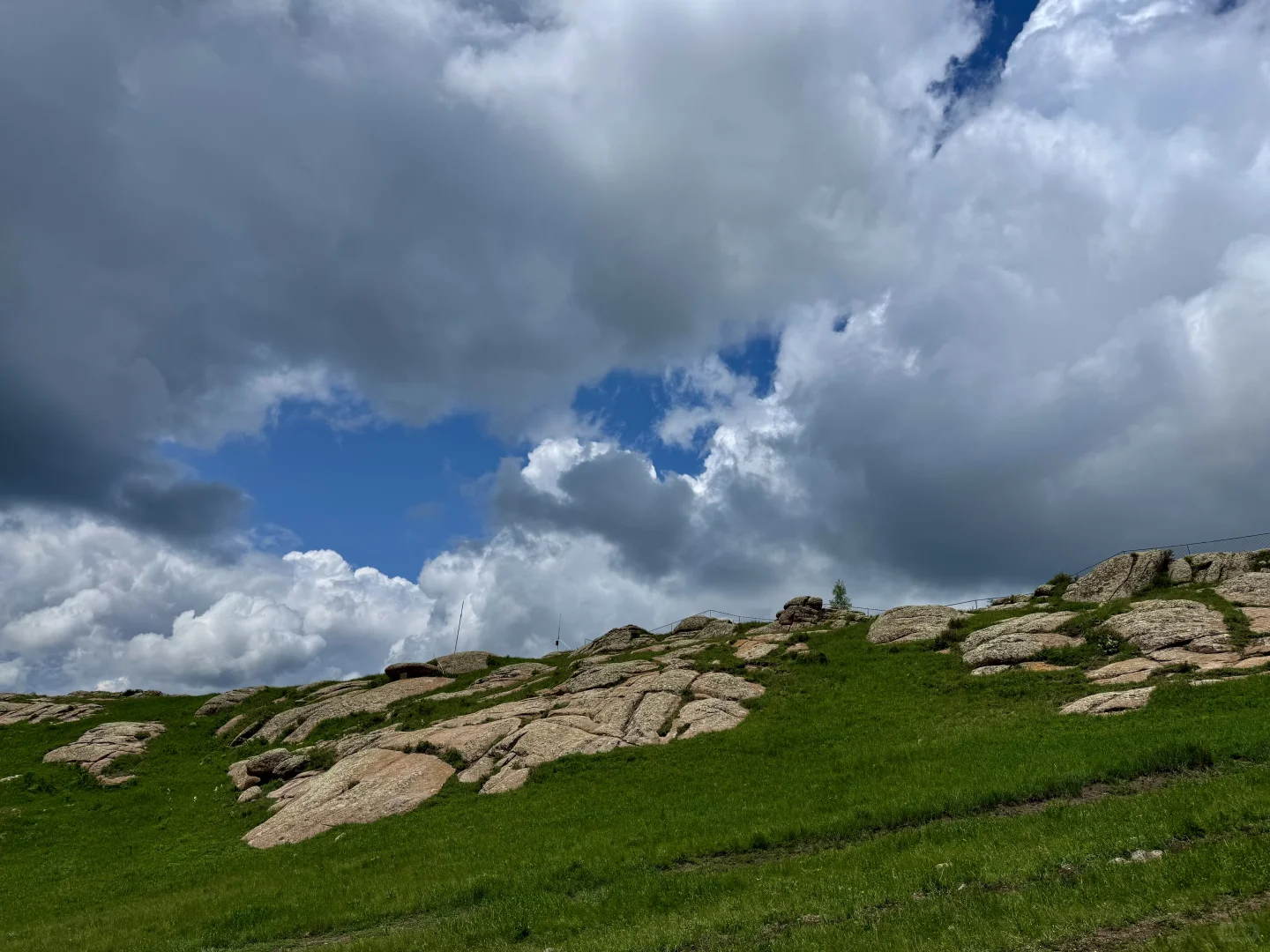 大环境不好,但这里环境好啊🌱
