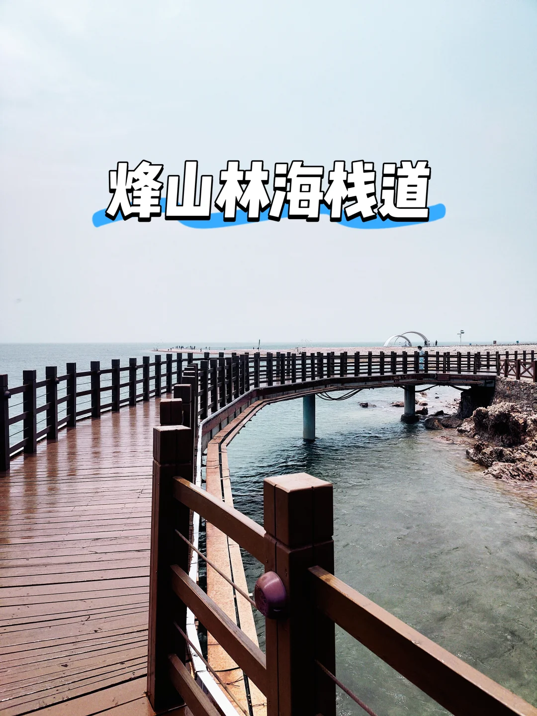 🌊长岛避坑&种草攻略