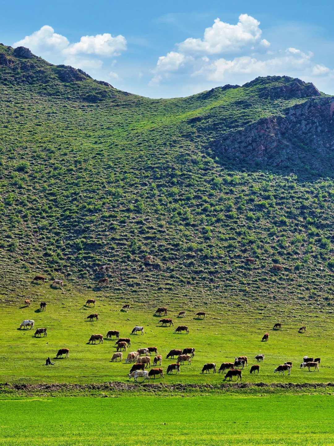 北京3h｜阿尔山平替❗️2天1晚草原自驾🚗攻略