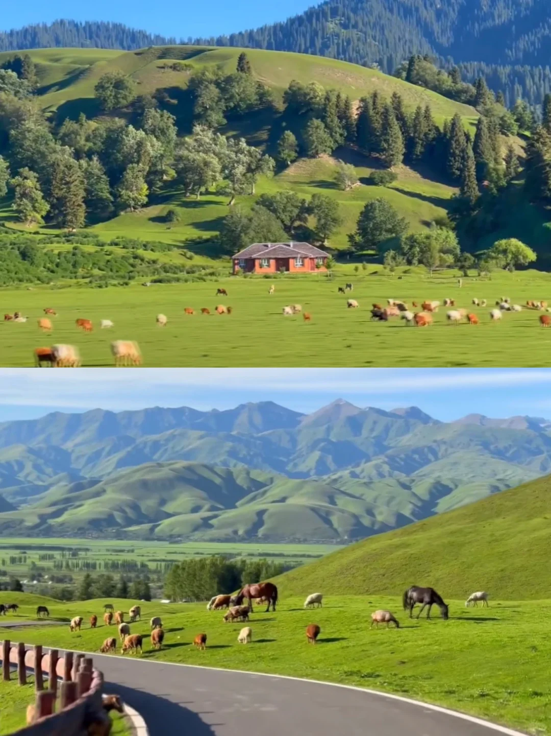 8月旅行地合集✨ 抓住夏天尾巴去撒野