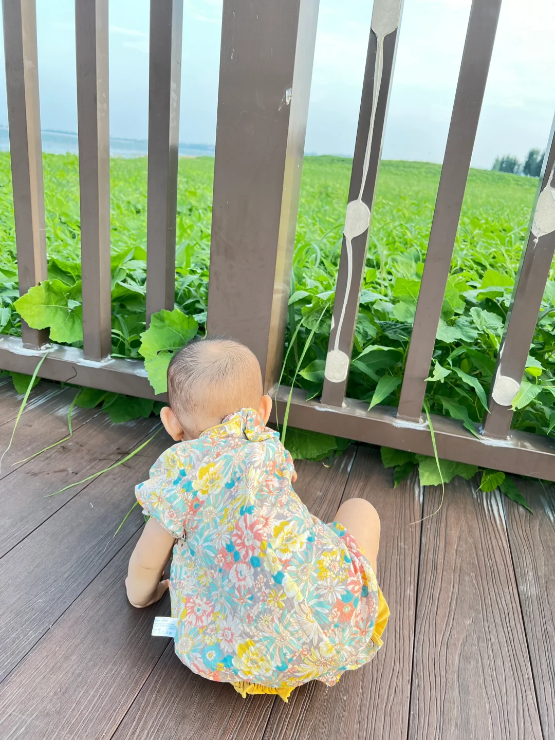 邯郸小三亚。小月龄友好遛娃地