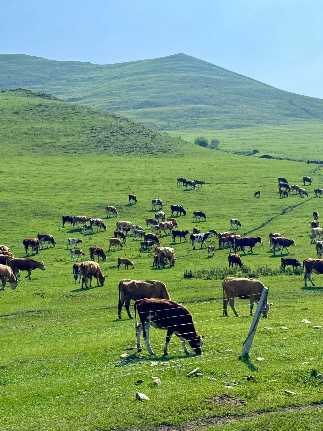 北京3h｜阿尔山平替❗️2天1晚草原自驾🚗攻略