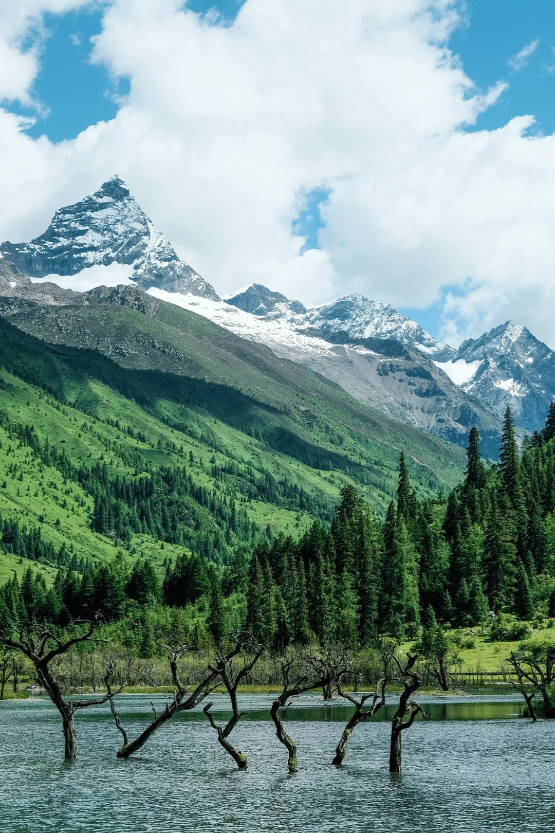 总要去趟四姑娘山，看看封神级别的夏天吧…🍃
